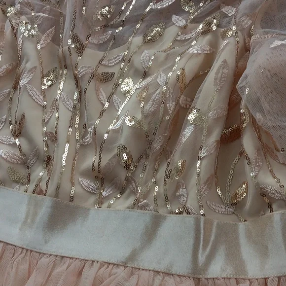 Ever pretty beige color sequin dress - Picture 8 of 11